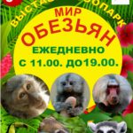 Уникальная выставка-зоопарк "Мир обезьян"