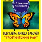выставка живых бабочек - Тропический рай