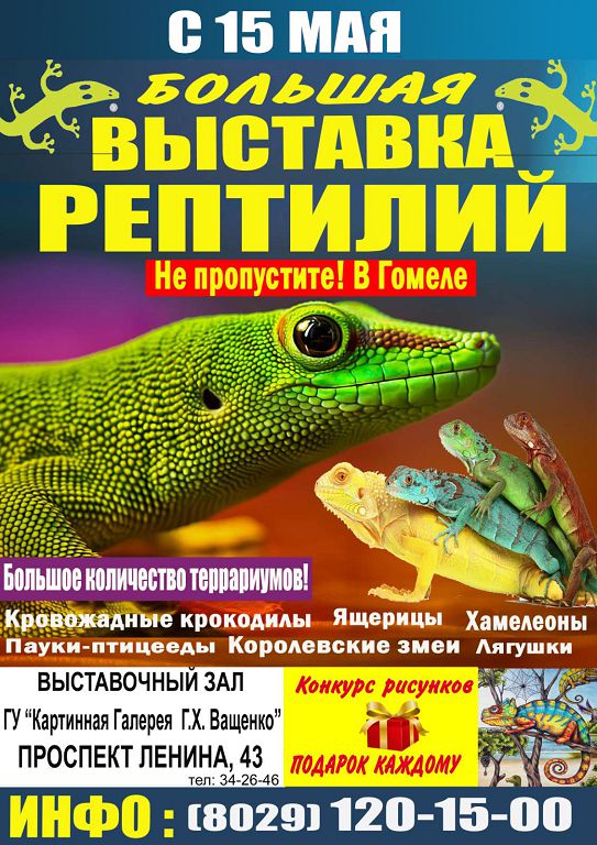 Большая выставка рептилий