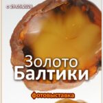 Золото Балтики (г.Калининград)